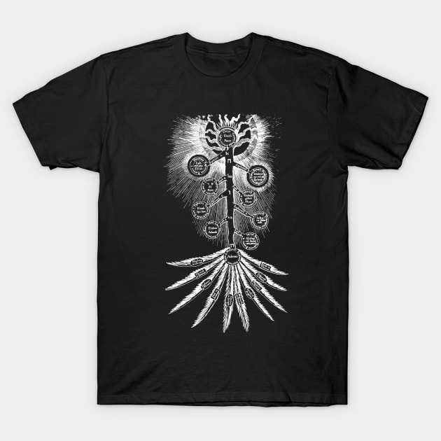 Tree of Sephiroth T-Shirt by Phox